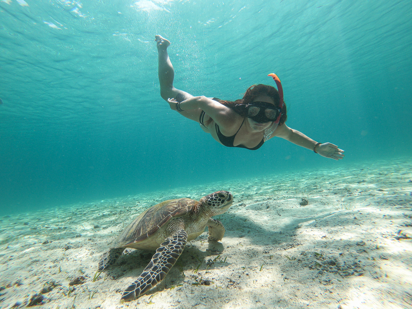Mujer practicando esnórquel bajo el agua, nadando junto a una tortuga marina sobre el fondo del océano.