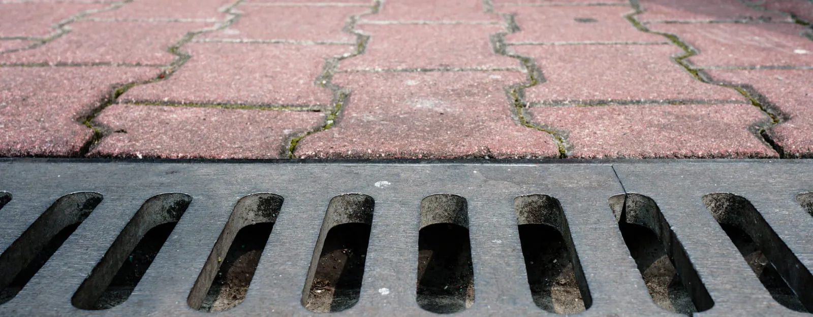 photo of catch basin