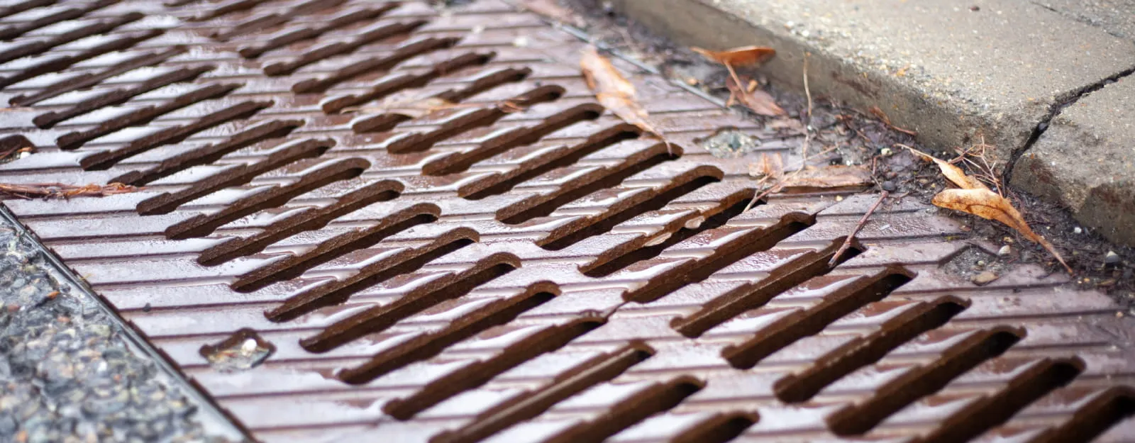 photo of catch basin