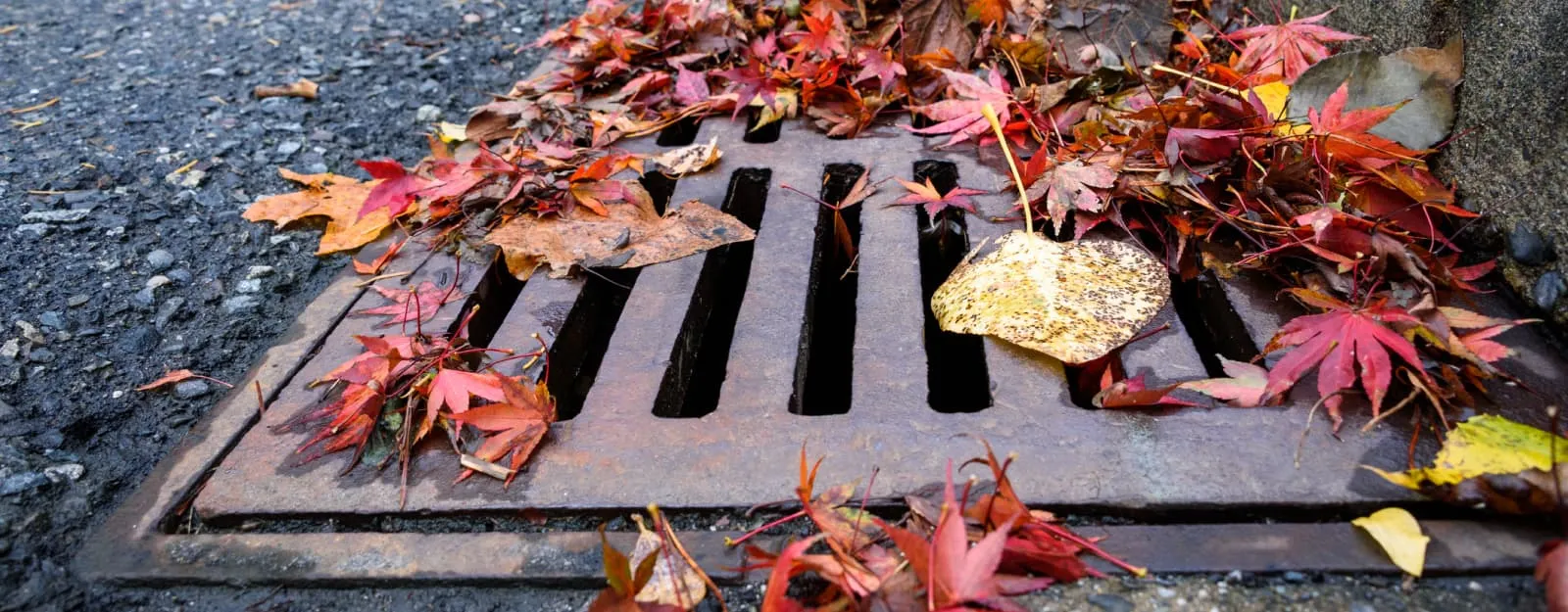 photo of catch basin