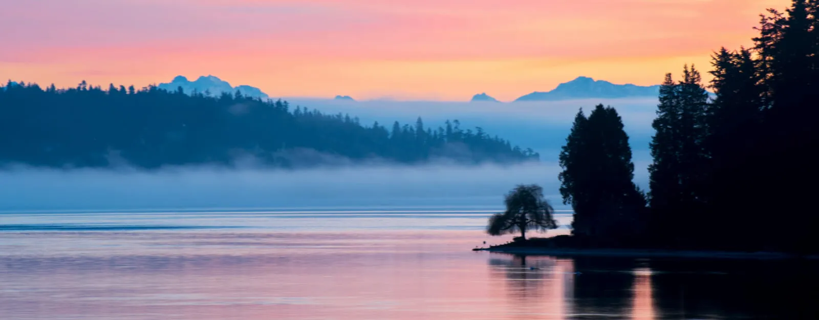 scenic view of the ocean