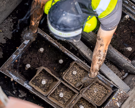 Overhead view of a worker in safety gear placing small coins into baskets filled with soil.