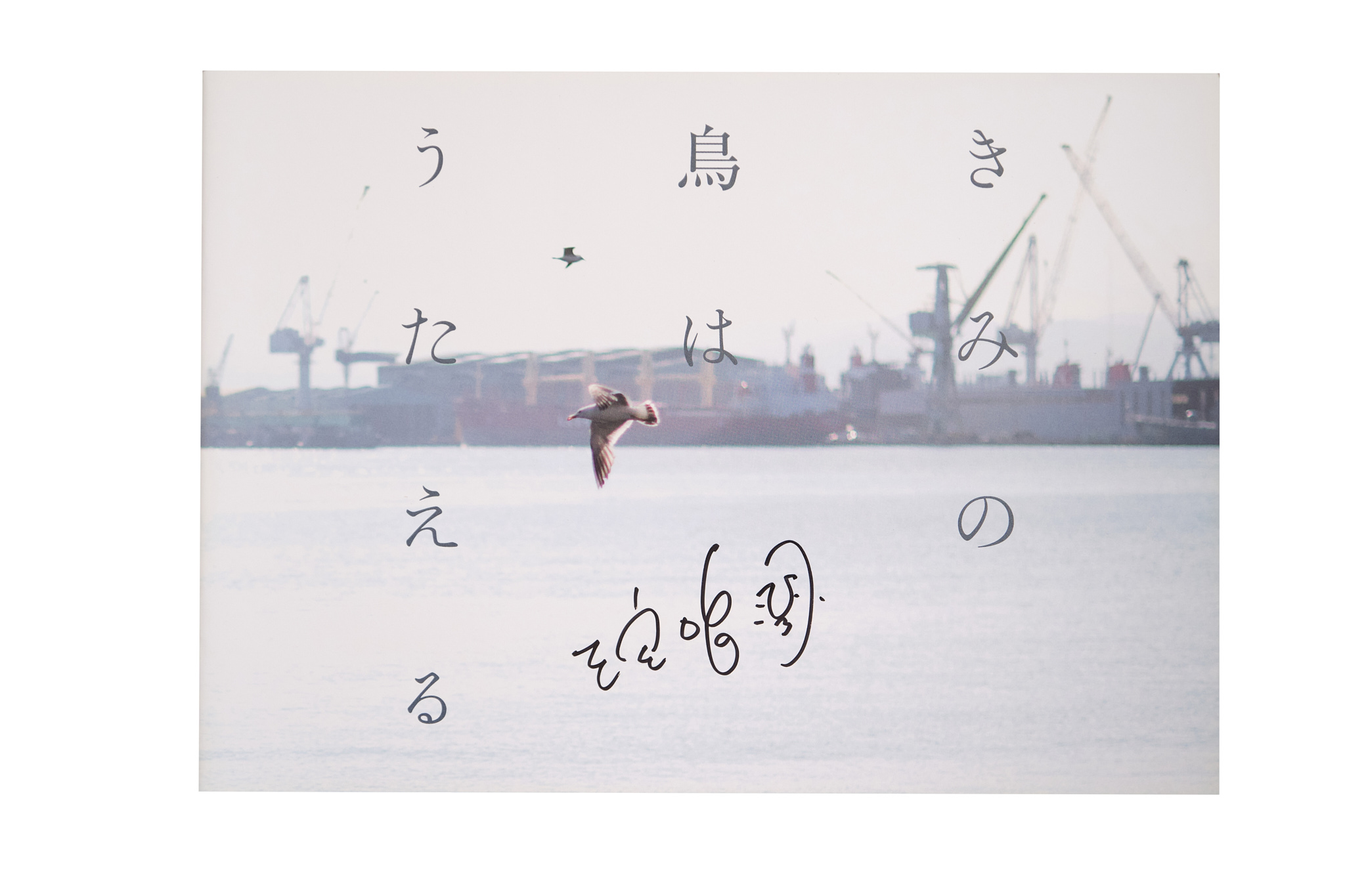 SAKKA shop | 