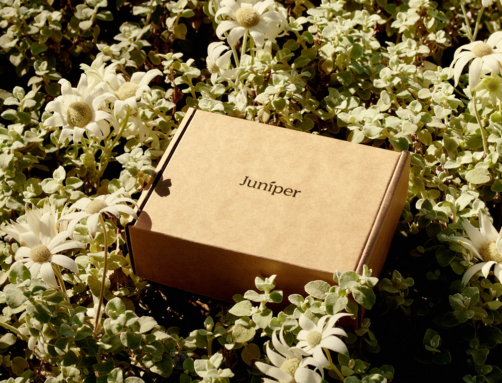 The weight of judgment: 1 in 4 women feel shame over medical weight loss | Juniper Australia