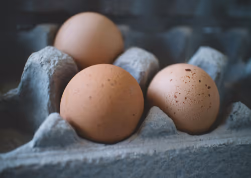 Top high-protein foods for weight loss: Boost your diet effectively