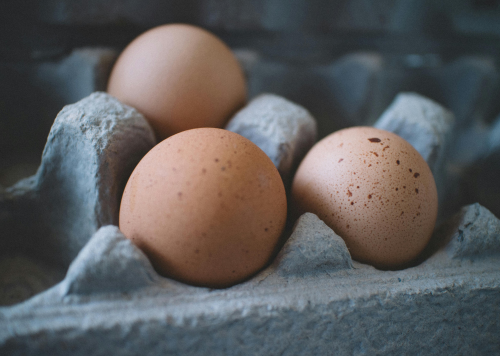 The Best High Protein Foods for Weight Loss | Juniper