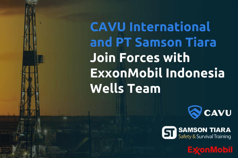 CAVU International