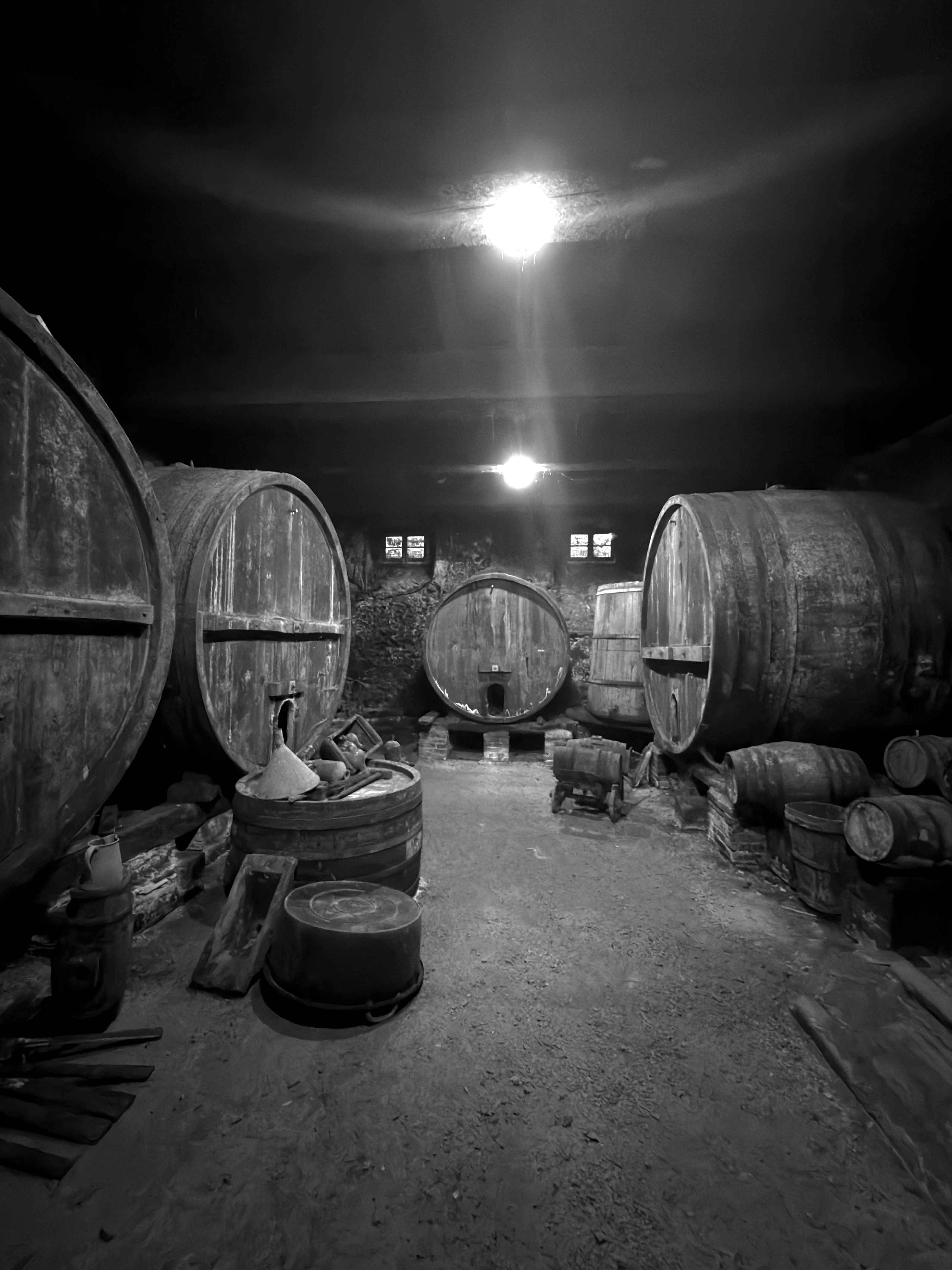 Le suggestive cantine della villa dove veniva prodotto il vino dei monaci camaldolesi
