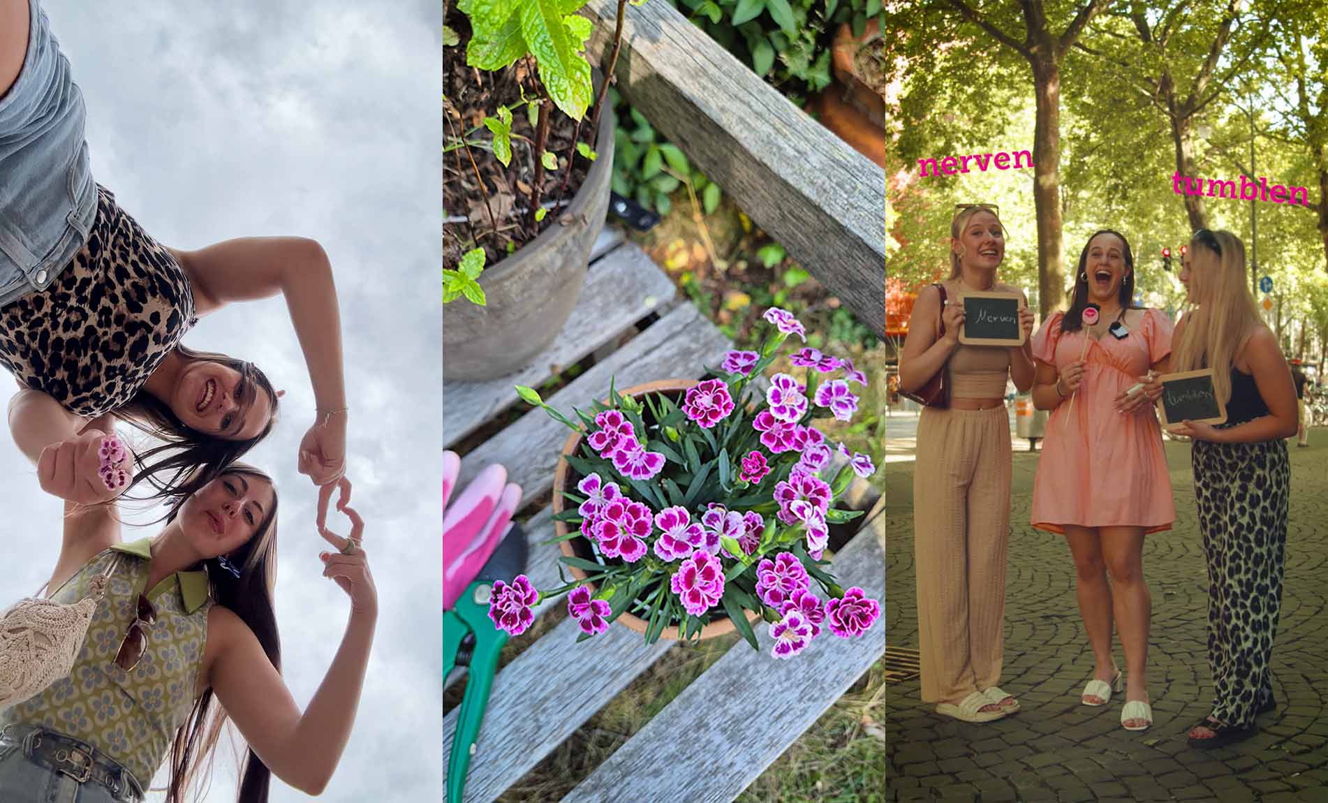 Collage der Pink Match Kampagne