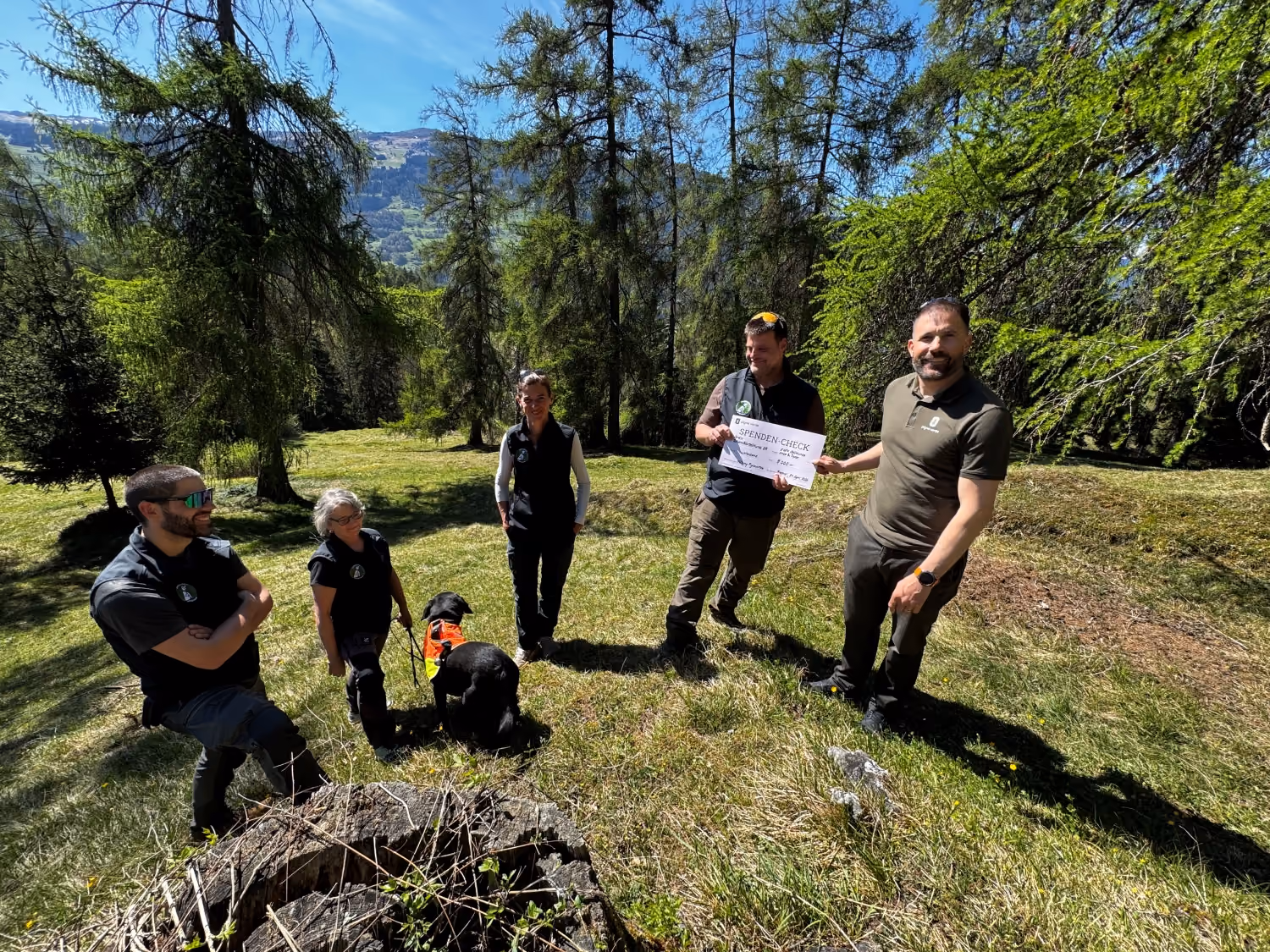 Insieme per foreste sane
