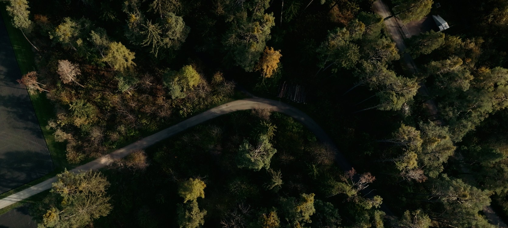 Selva Futura — for greater value creation