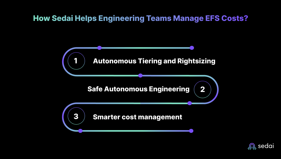 How Sedai Helps Engineering Teams Manage EFS Costs?