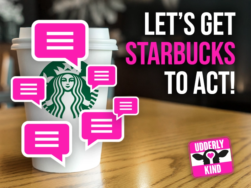 Starbucks has the power to set a new standard and spark change across the entire food and beverage industry. 