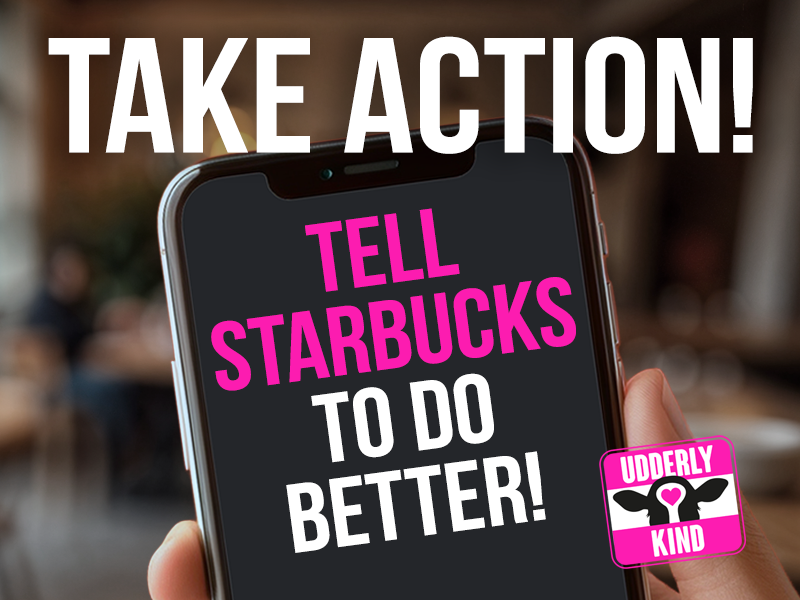 We won’t stop until Starbucks takes meaningful action.