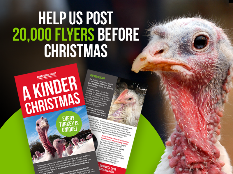 Every flyer is an act of courage. Every doorstep is a chance to inspire change.