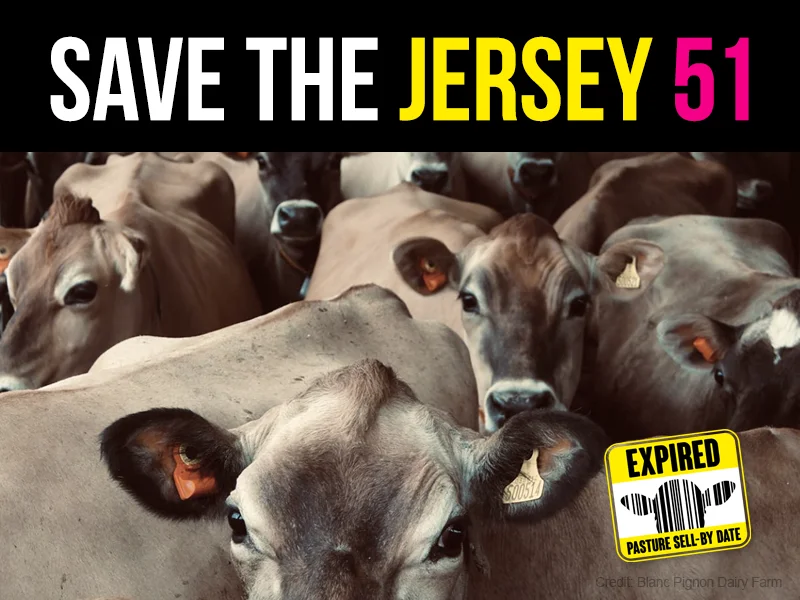 We are urging the public to act quickly by signing the petition. 