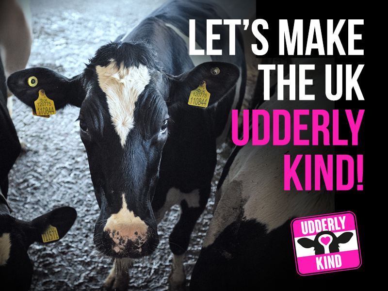 Oat milk should be the default across all businesses in the UK. 