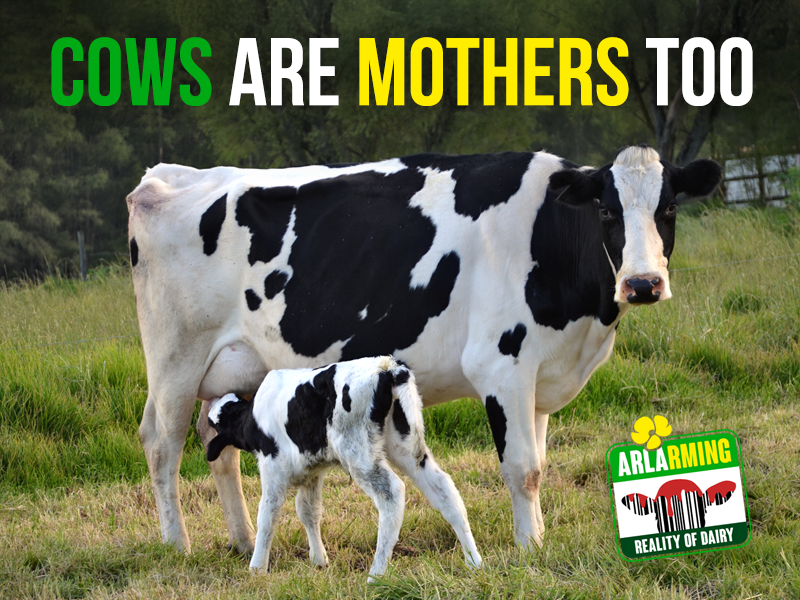  This Mother’s Day, the most meaningful way to honour motherhood is to stop exploiting it