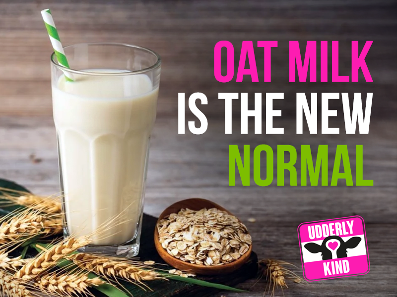 A growing number of cafés are considering transitioning to oat milk as their default.