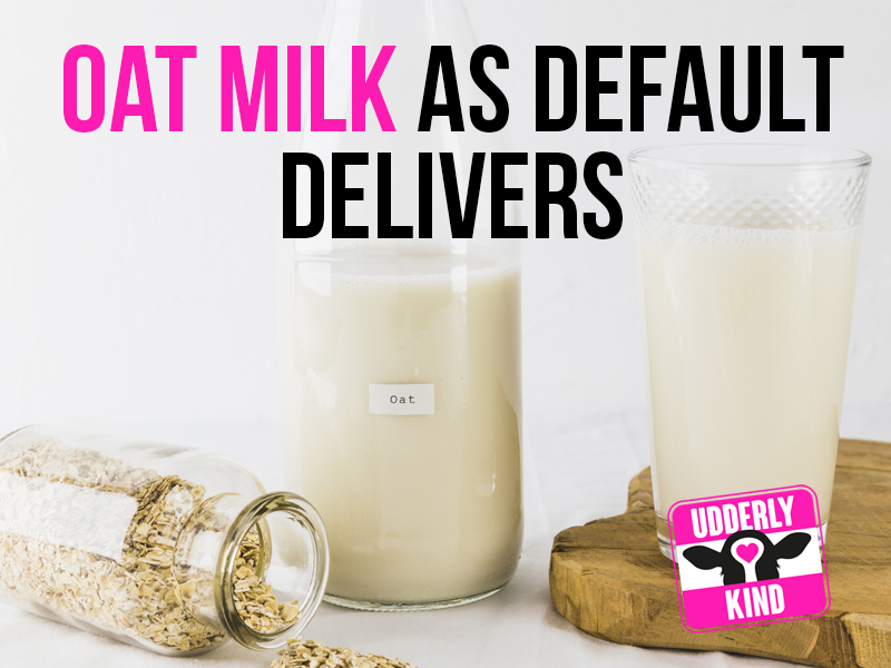 We are on a mission to make oat milk the default choice in cafés.