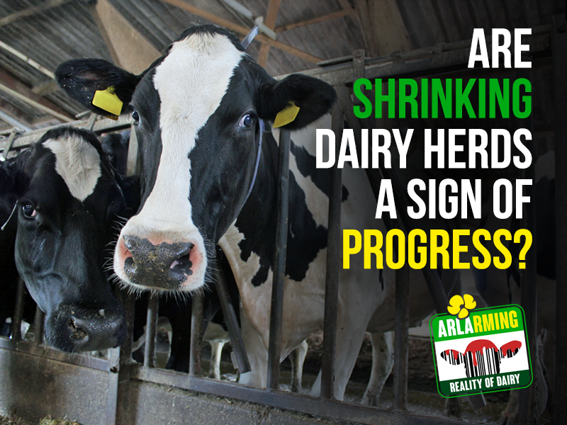 Progress does not mean fewer cows producing more milk. 