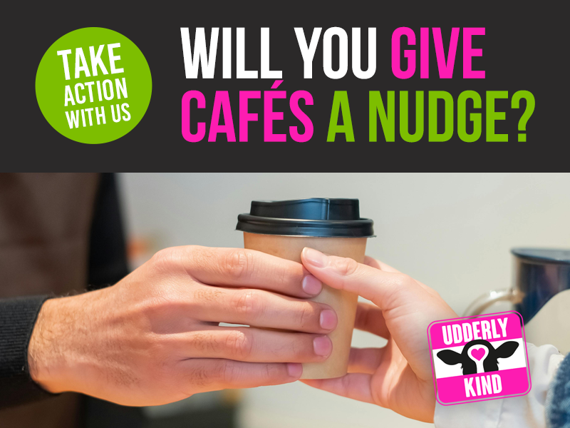 We’re asking for support with three key actions.