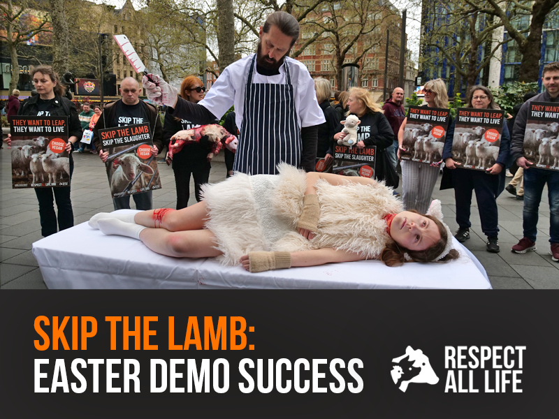 Leicester Square became the stage for our Skip the Lamb demonstration.