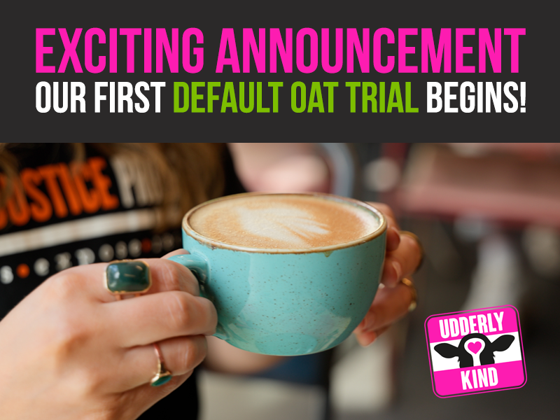 At The Canteen in Bristol, a quiet but significant shift is underway.