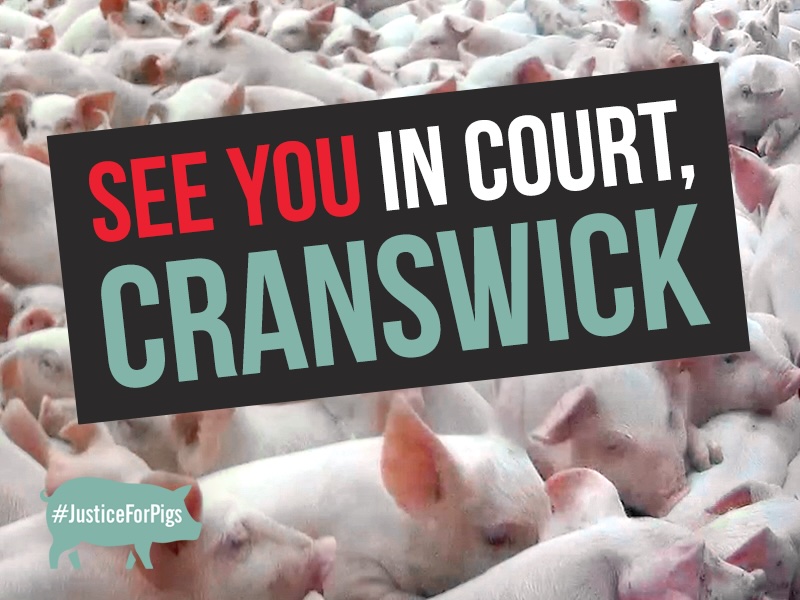 We have initiated a private prosecution against Cranswick plc
