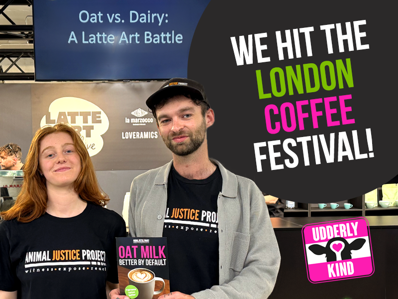 We brought our campaign to the heart of the coffee world.