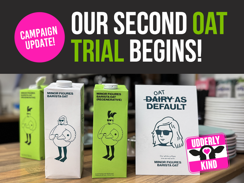 An Essex café has become one of the first in the UK to trial oat milk as the default.
