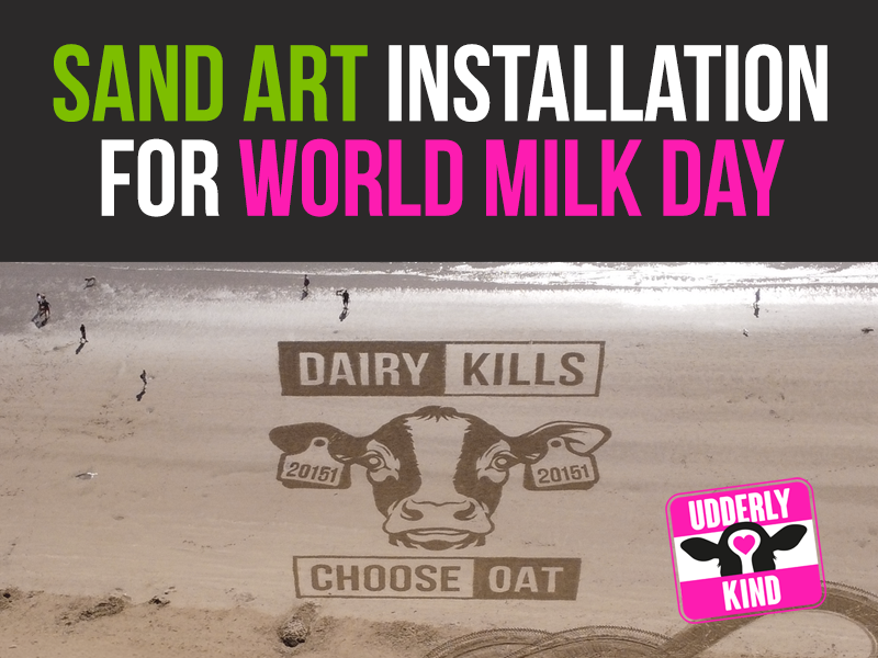 The installation invited people to stop and consider the hidden reality of dairy.