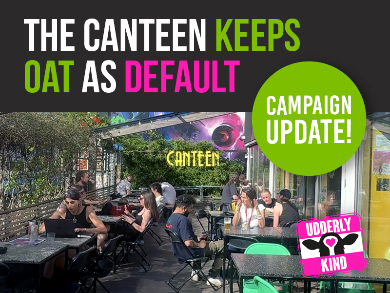 The Canteen’s decision to make the switch permanent is a hugely encouraging win. 