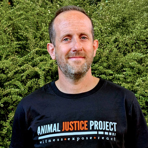 Ben joined Animal Justice Project in 2026, bringing over 20 years’ experience in marketing, digital strategy, supporter engagement and communications.