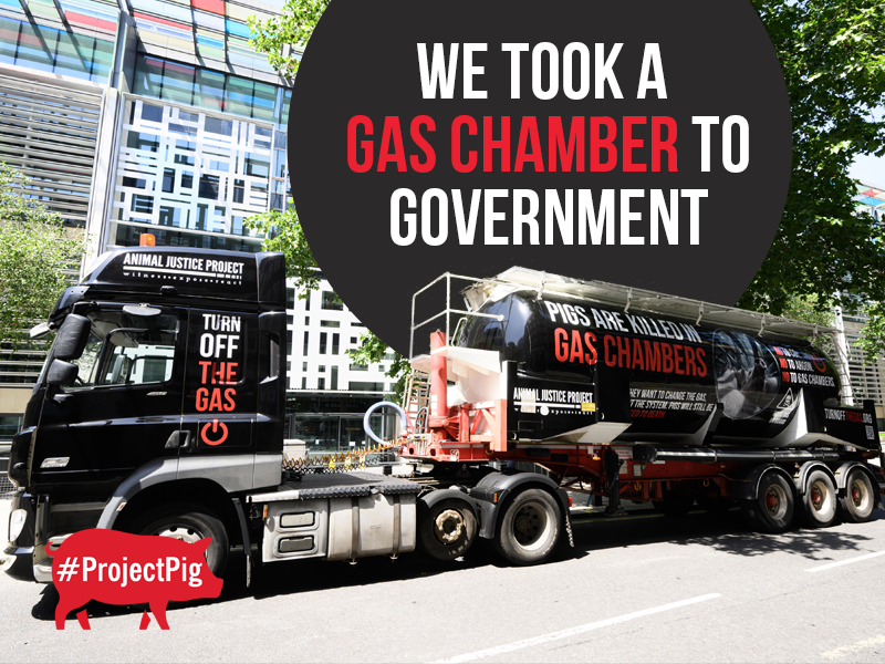 Our mobile gas chamber toured around London including Parliament and Defra.