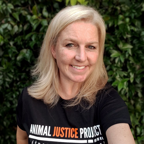 Marijn (“Mah-Rhine”) joined Animal Justice Project in 2026 to support the Campaigns team. She will be working on media and comms for our dairy campaigns and support action planning.