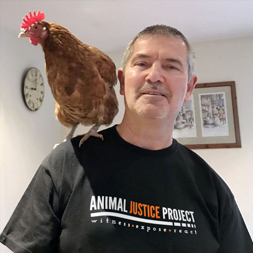 Nigel has worked with Animal Justice Project since 2019, managing day-to-day administration and running of the organisation’s online shop. Nigel lives with his family in North Nottinghamshire.