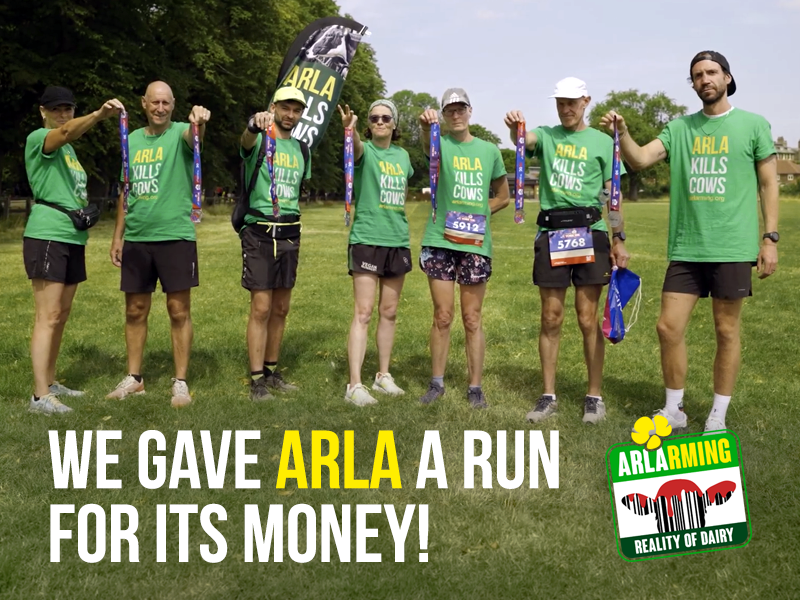 Eight runners took part in the York 10K on behalf of Animal Justice Project. 