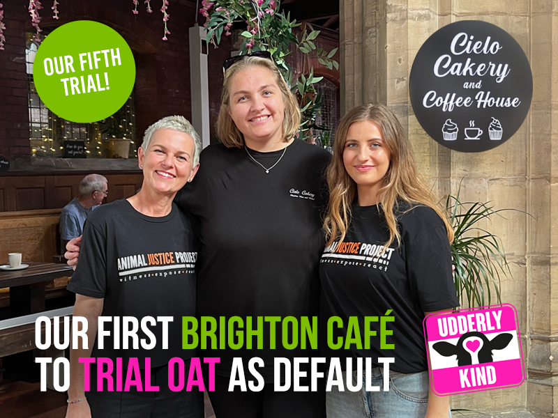 Cielo Cakery in Brighton has just joined our Udderly Kind campaign.
