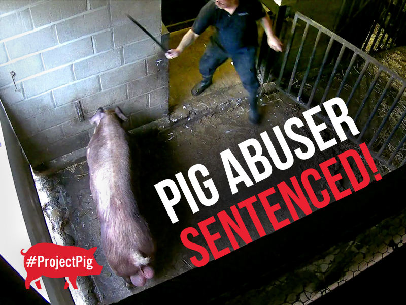 After two long years of working alongside Trading Standards, we have justice.