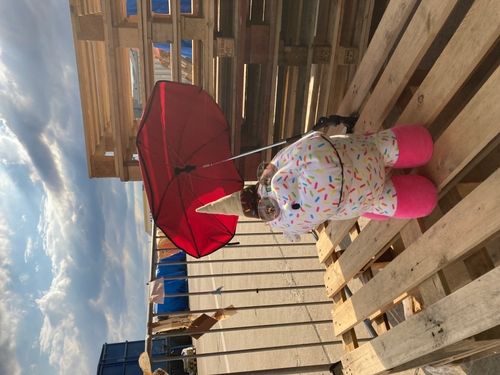 Alles neu, macht der... Juli