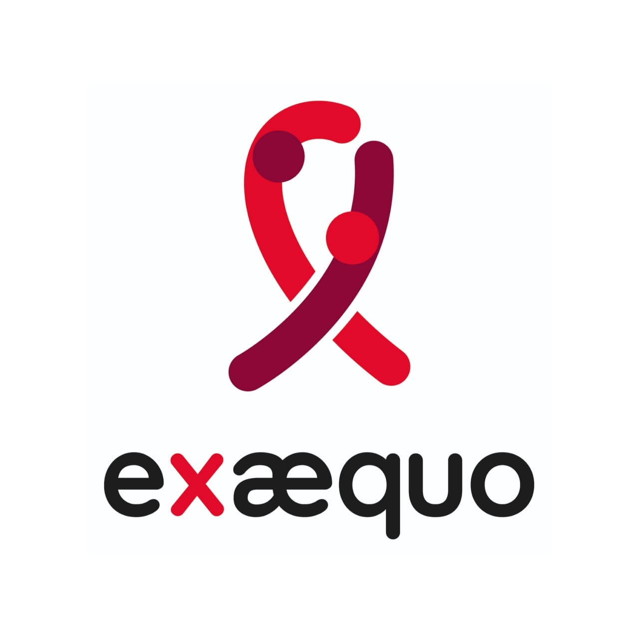 Ex Aequo