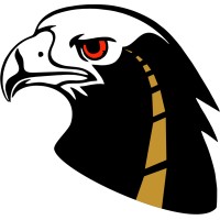 Black Eagle Transportation logo