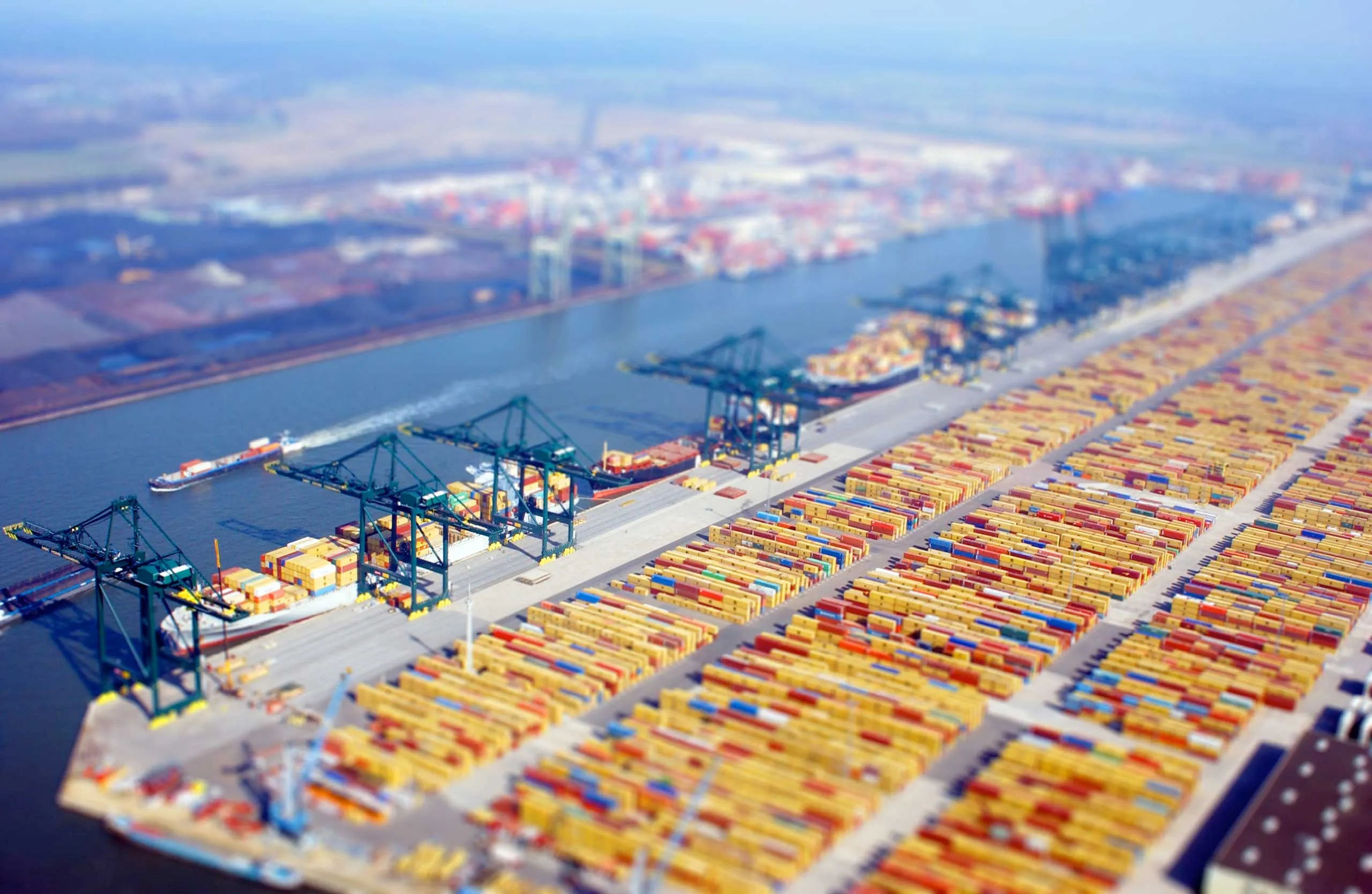 TransGlobal Freight Management