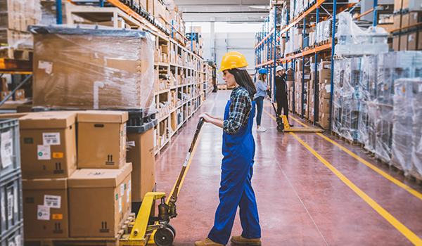 Spark Global Logistics