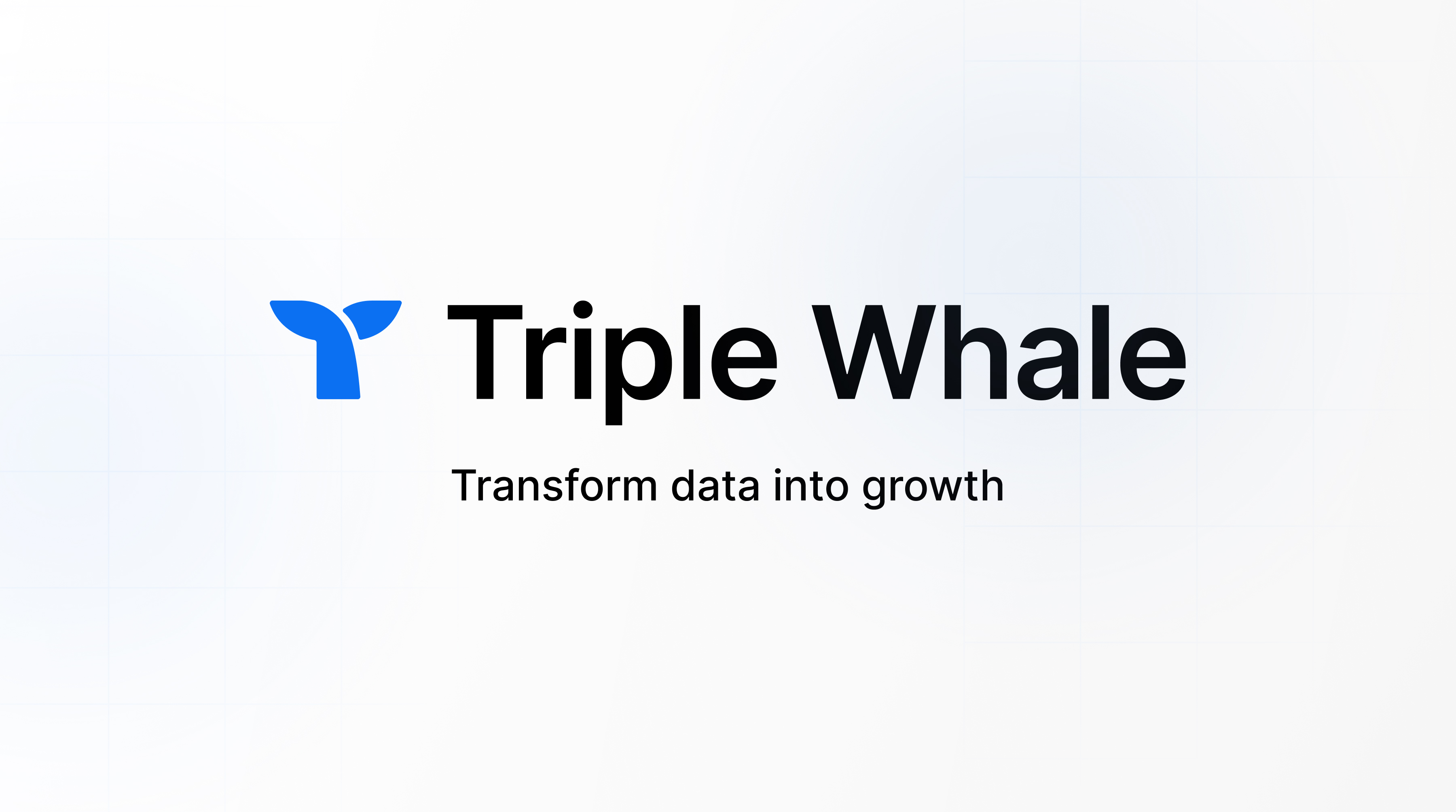 Triple Whale