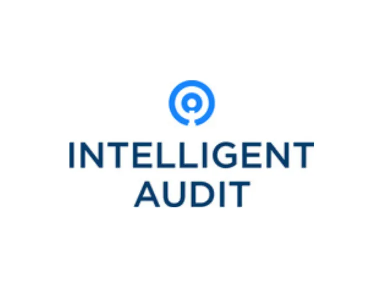 Intelligent Audit