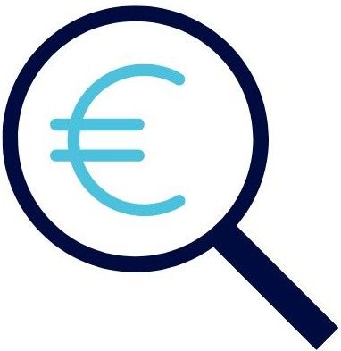 Icon Lupe und Eurosymbol