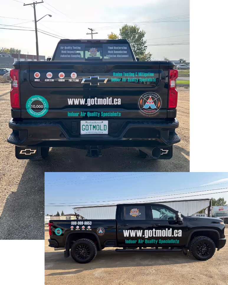 got mold truck on location