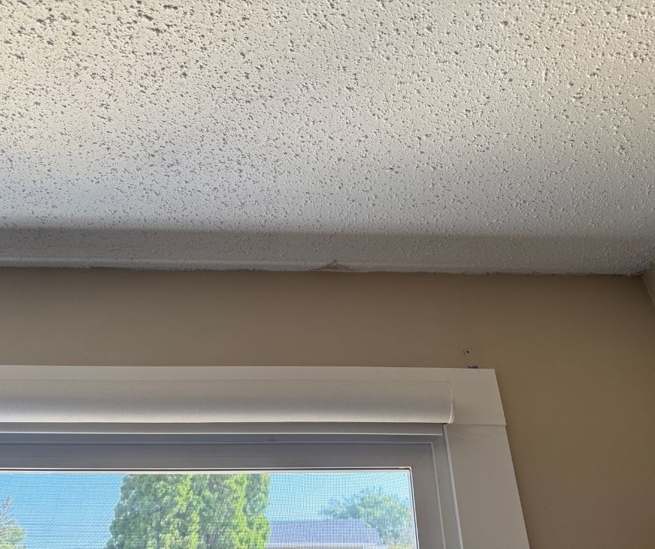 Condensation / water damage visible forming on a cold exterior wall.